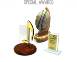 Customized Special Awards | Trophies