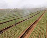 Irrigation System | Uganda