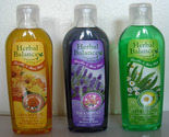 Herbal Shampoo and Conditioner