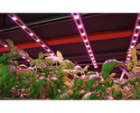 LED & Halogen Grow Lights