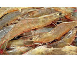 Aquaculture Shrimp Feed