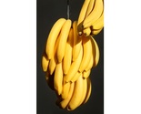 Kenya Cavendish Bananas