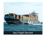 Trade Wind Sea Freight Transportation Services