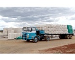Cotton Ginning Services