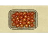 Tavish Exports Cherry Tomatoes