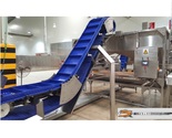 Horizontal/Incline Conveyor Snack Processing Equipment