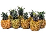 Sunripe Pineapples