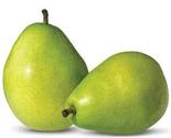 Sunripe Pears