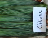 Chive Herbs