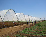 Commercial Farming Green Houses