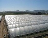 Green House Tunnel Covers