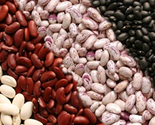 Beans & Pulses