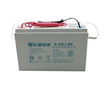 6-CNJ-80 12 Volt 80 Ah Deep Cycle Battery