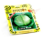 Avanos Indica Plus Cabbage Seeds 25g