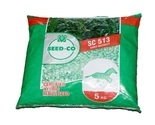 Seedco SC513 Certified Hybrid Maize Seed 5kg