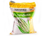 Syngenta MRI514 Certified Hybrid Maize Seed 10kg