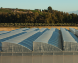 Greenhouses Structures